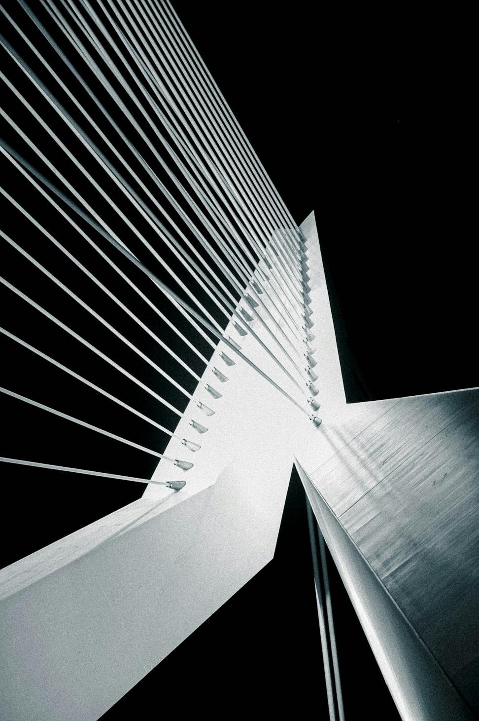 Project Management